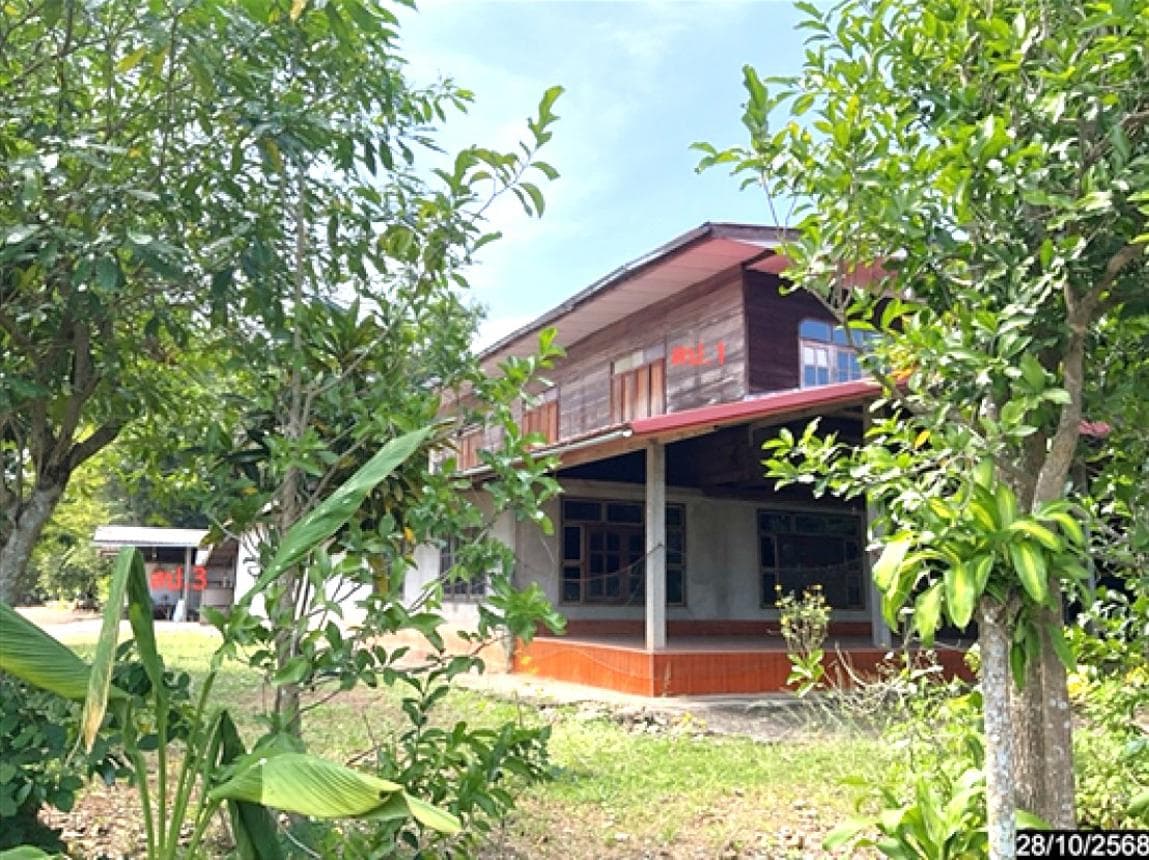 ขายบ้านเดี่ยว หนองหิน เลย พื้นที่ใช้สอยกว้างขวาง 330 ตร.ม. บนที่ดิน 98 ตร.ว. ทำเลสงบ ใกล้แหล่งท่องเที่ยวคุนหมิงเมืองไทย