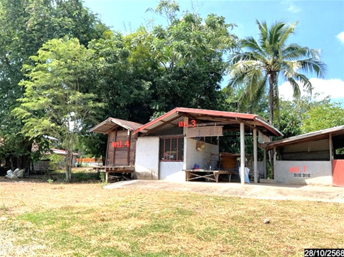 ขายบ้านเดี่ยว หนองหิน เลย พื้นที่ใช้สอยกว้างขวาง 330 ตร.ม. บนที่ดิน 98 ตร.ว. ทำเลสงบ ใกล้แหล่งท่องเที่ยวคุนหมิงเมืองไทย