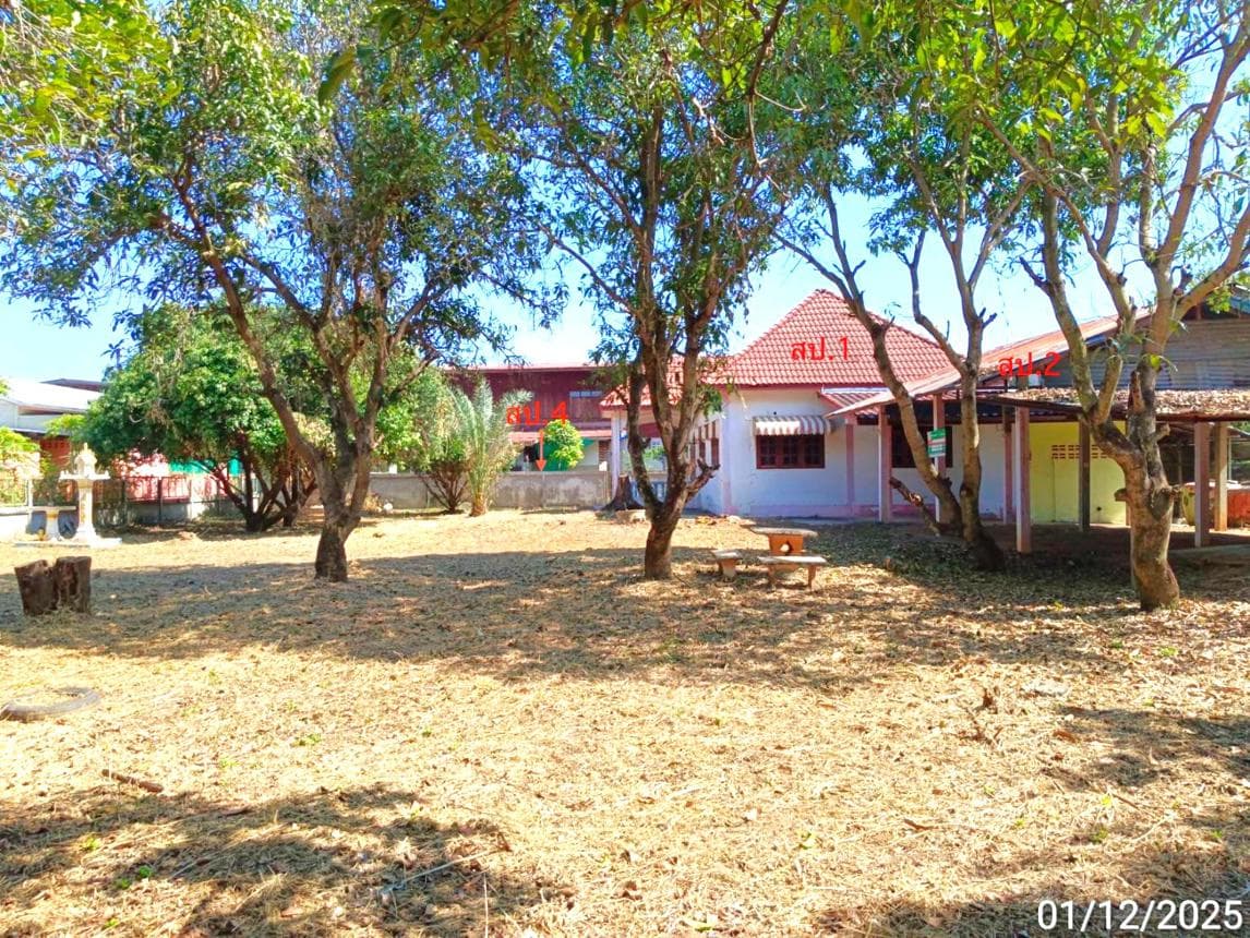 ขายบ้านเดี่ยว หนองไผ่ เพชรบูรณ์ ทำเลวังท่าดี เนื้อที่ 10 ตร.ว. พื้นที่ใช้สอย 151 ตร.ม. 2 ห้องนอน 1 ห้องน้ำ สภาพดี พร้อมอยู่