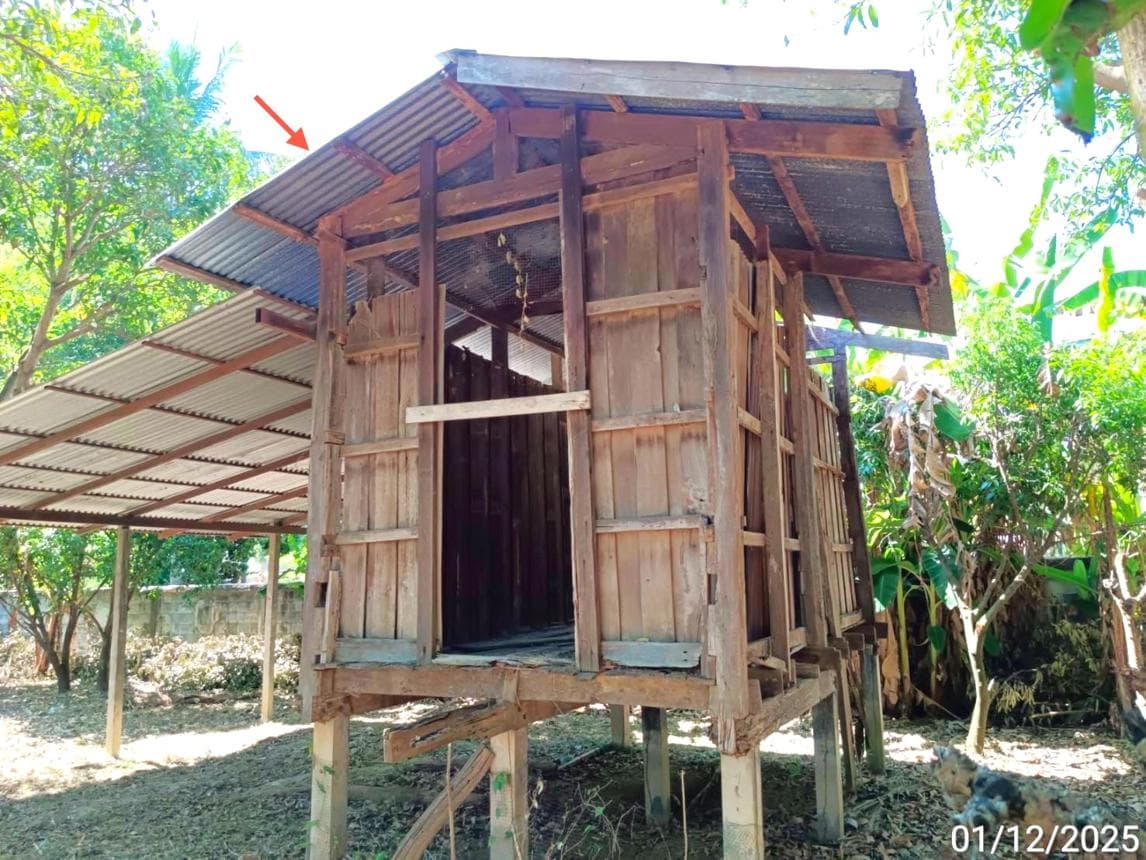 ขายบ้านเดี่ยว หนองไผ่ เพชรบูรณ์ ทำเลวังท่าดี เนื้อที่ 10 ตร.ว. พื้นที่ใช้สอย 151 ตร.ม. 2 ห้องนอน 1 ห้องน้ำ สภาพดี พร้อมอยู่