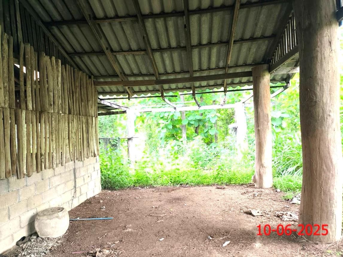 ขายบ้านเดี่ยว แจ้ห่ม ลำปาง 2 ห้องนอน พื้นที่กว้าง 67 ตร.ว. บรรยากาศเงียบสงบ ราคาประหยัด