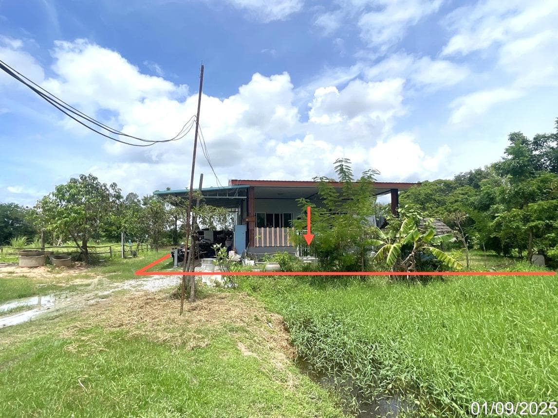 ขายบ้านเดี่ยวรอบเมือง เมืองร้อยเอ็ด 3 ห้องนอน สเปซกว้าง 165 ตร.ม. ทำเลดีเดินทางง่าย ฟังก์ชันครบสำหรับคนรุ่นใหม่
