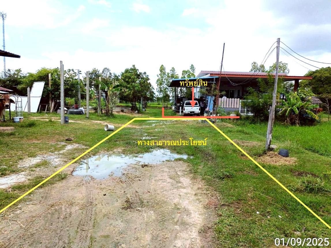 ขายบ้านเดี่ยวรอบเมือง เมืองร้อยเอ็ด 3 ห้องนอน สเปซกว้าง 165 ตร.ม. ทำเลดีเดินทางง่าย ฟังก์ชันครบสำหรับคนรุ่นใหม่