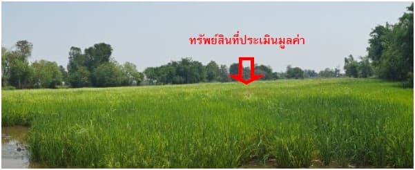 ที่ดินเปล่า กันทรวิชัย มหาสารคาม