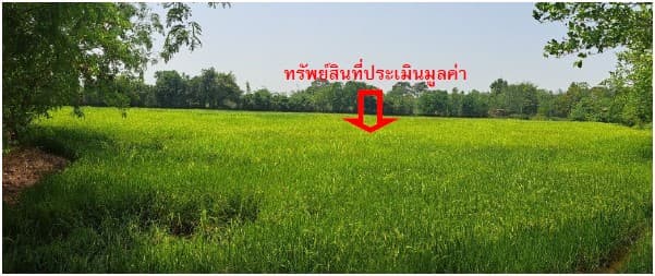ที่ดินเปล่า กันทรวิชัย มหาสารคาม