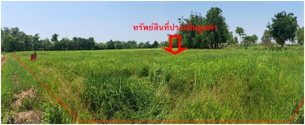 ที่ดินเปล่า กันทรวิชัย มหาสารคาม