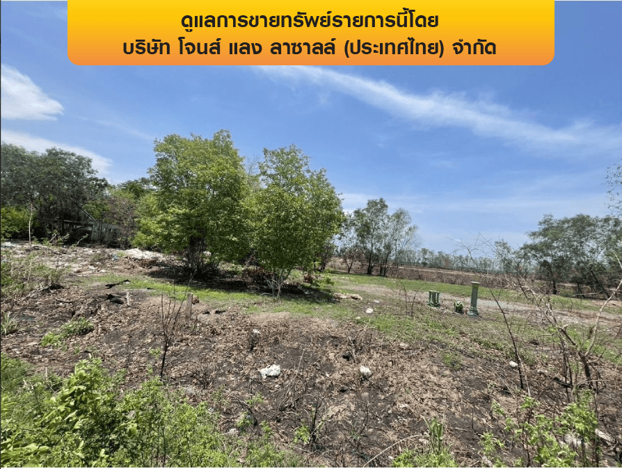 ที่ดินว่างเปล่า