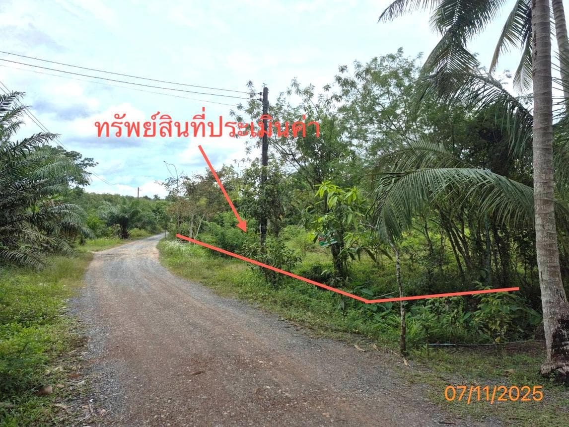 ขายอาคารสำนักงาน ทุ่งสง นครศรีธรรมราช ทำเลเขาโร เนื้อที่กว้าง 93.8 ตร.ว. สภาพดี ราคาคุ้มค่า เหมาะสำหรับทำออฟฟิศ หรือสำนักงาน
