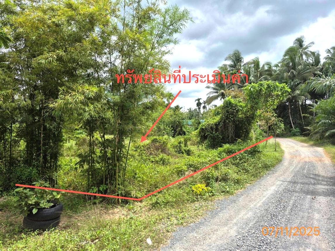 ขายอาคารสำนักงาน ทุ่งสง นครศรีธรรมราช ทำเลเขาโร เนื้อที่กว้าง 93.8 ตร.ว. สภาพดี ราคาคุ้มค่า เหมาะสำหรับทำออฟฟิศ หรือสำนักงาน