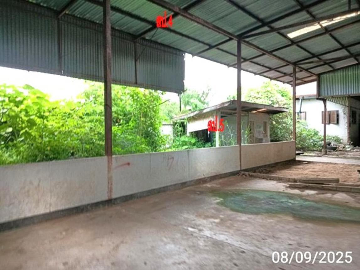ขายโกดัง นาอ้อ เมืองเลย พื้นที่ใช้สอย 805 ตร.ม. บนเนื้อที่ดิน 21.5 ไร่ ทำเลดีพื้นที่กว้างขวางเพื่ออุตสาหกรรมและการลงทุนนั่นเอง