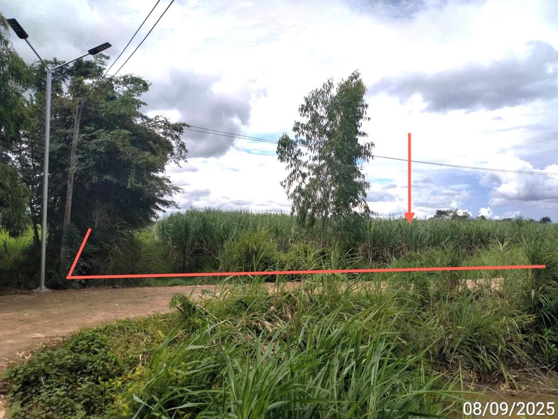 ที่ดินทำเลศักยภาพ ผักขะ-วัฒนานคร สระแก้ว แปลงใหญ่เพื่อการลงทุนและพัฒนา