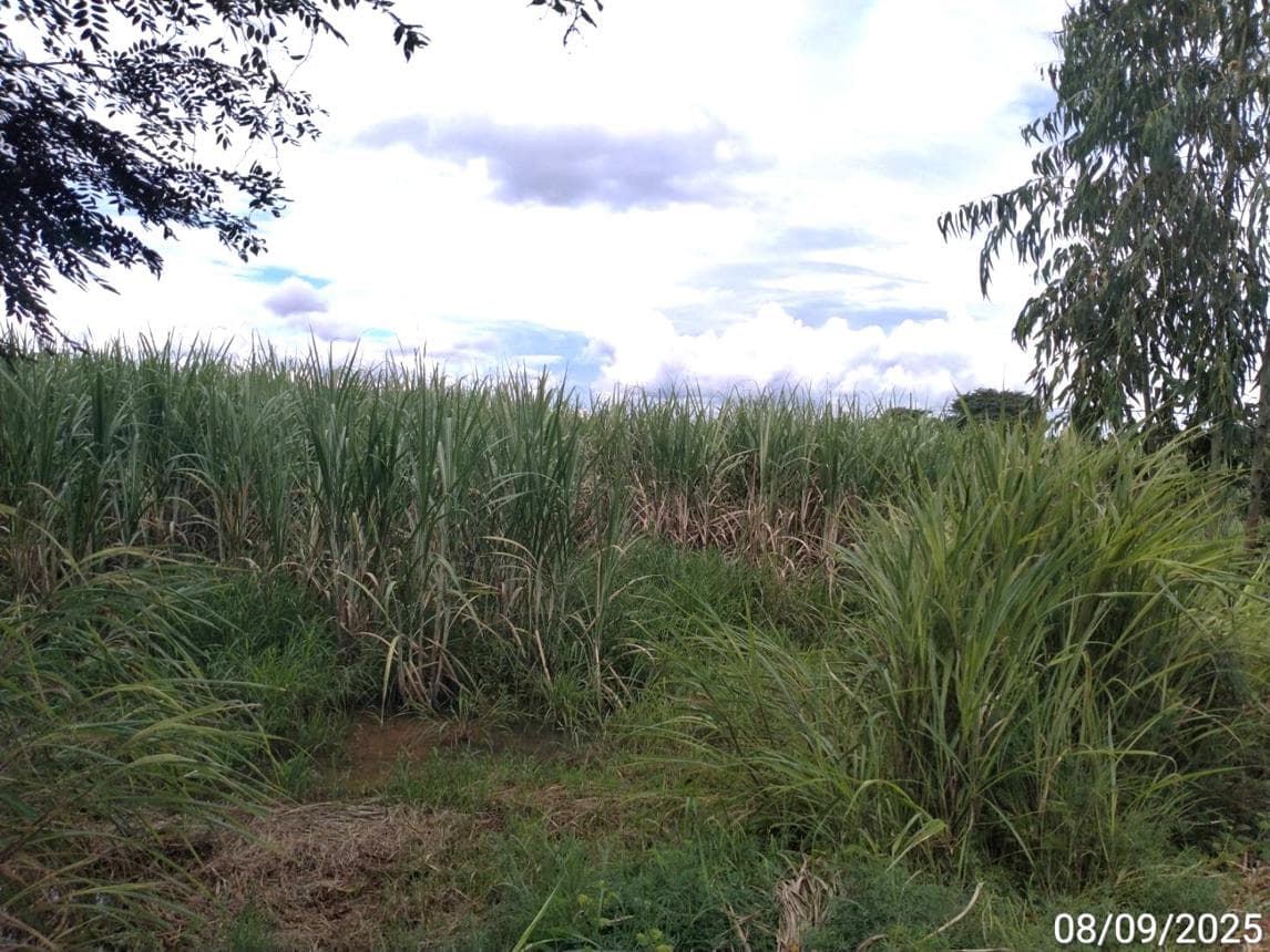 ที่ดินทำเลศักยภาพ ผักขะ-วัฒนานคร สระแก้ว แปลงใหญ่เพื่อการลงทุนและพัฒนา