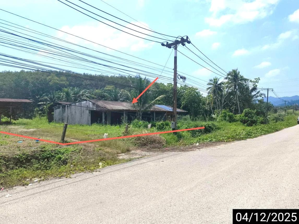 บ้านเดี่ยวหลังใหญ่ 4 ห้องนอน ทำเลคลองชะอุ่น พนม สุราษฎร์ธานี พื้นที่ใช้สอย 240 ตร.ม.