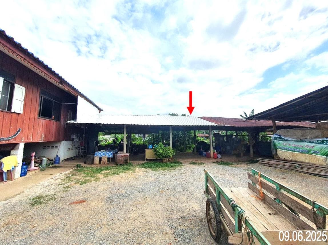 ขายบ้านเดี่ยว ม่วงตึ๊ด เมืองน่าน 4 ห้องนอน พื้นที่ใช้สอย 184.5 ตร.ม. ทำเลดี บรรยากาศเงียบสงบ