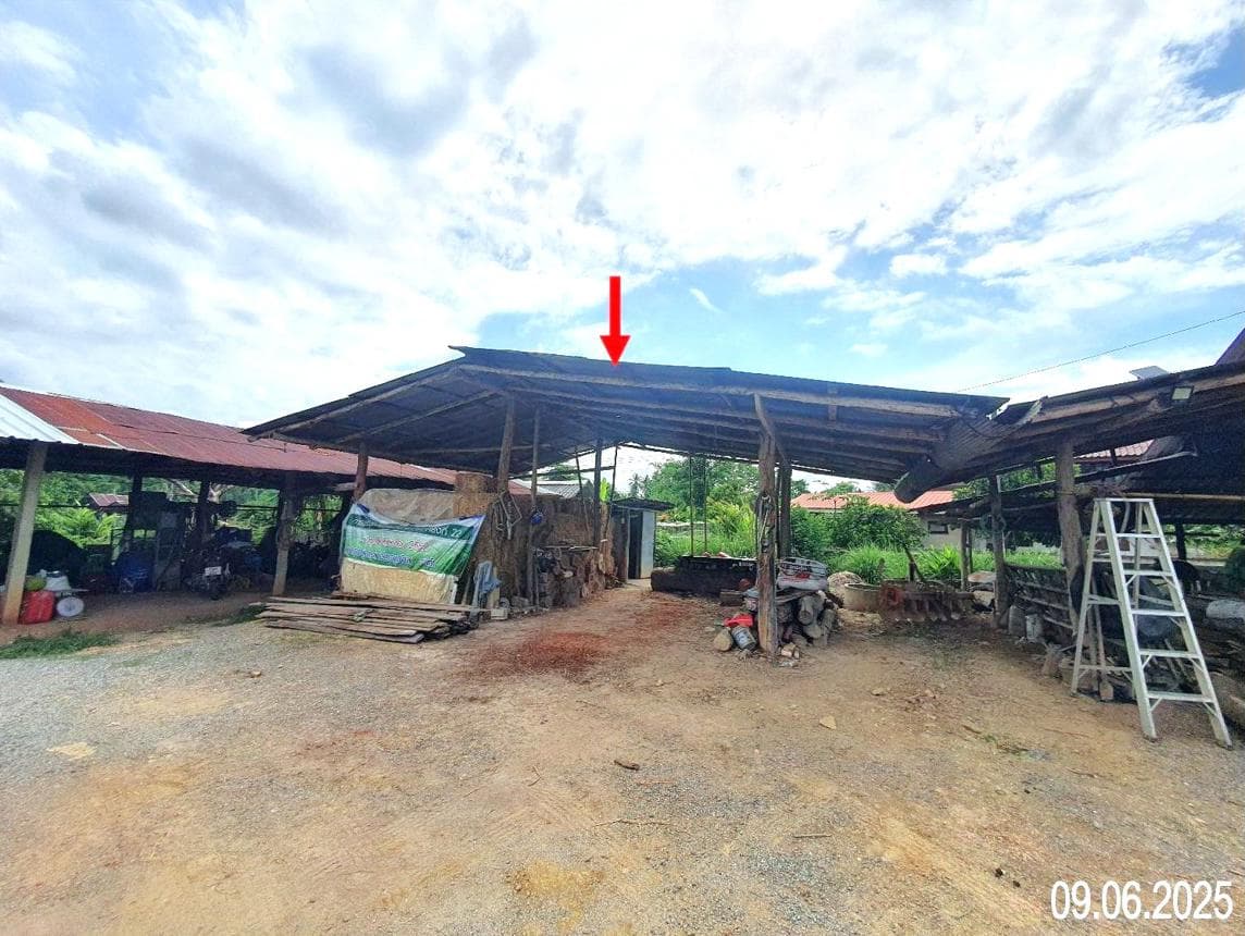 ขายบ้านเดี่ยว ม่วงตึ๊ด เมืองน่าน 4 ห้องนอน พื้นที่ใช้สอย 184.5 ตร.ม. ทำเลดี บรรยากาศเงียบสงบ