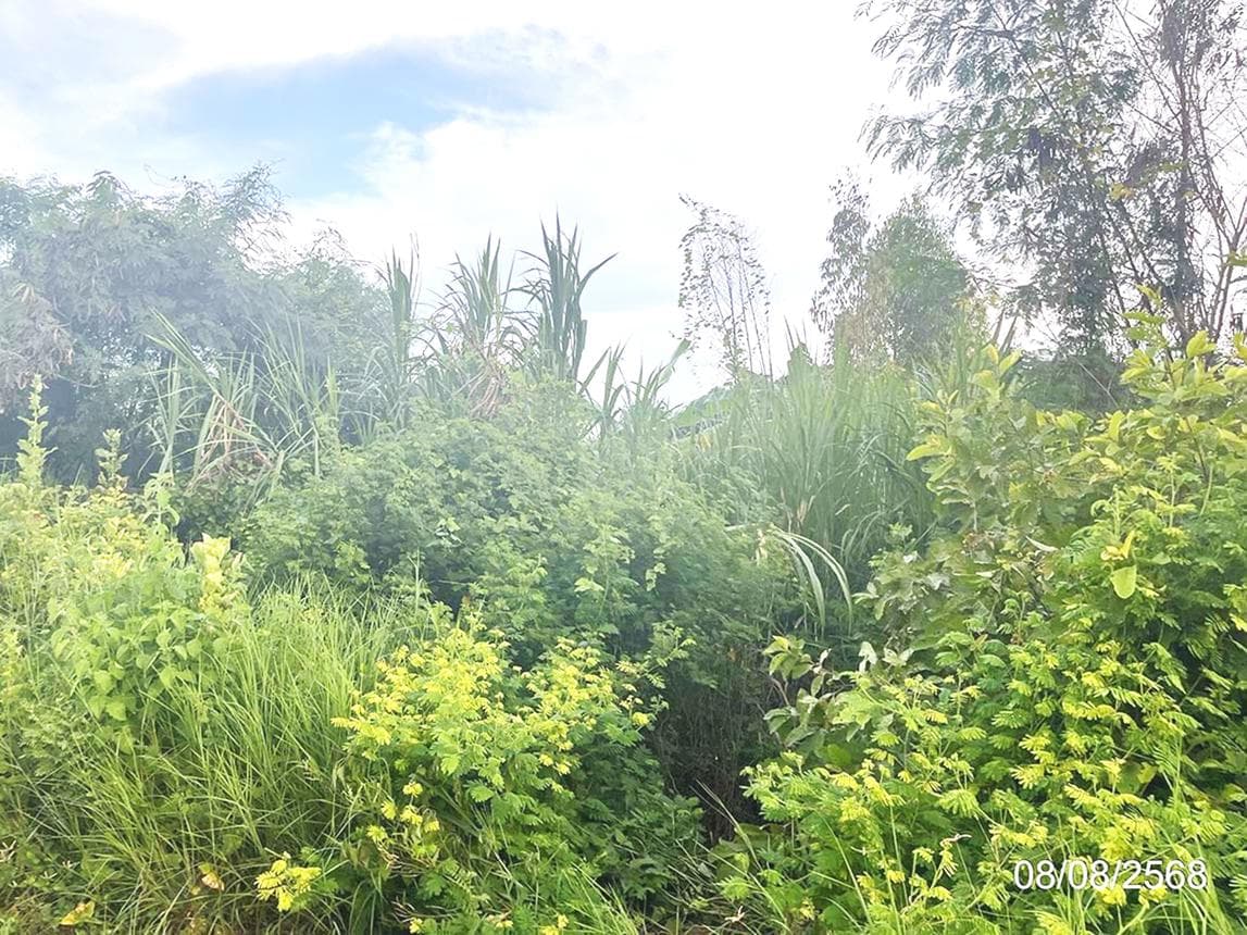 ขายที่ดินเปล่าทำเลศักยภาพ ท่าข้าม อรัญประเทศ สระแก้ว พร้อมบ่อน้ำ เหมาะลงทุนพัฒนาธุรกิจ