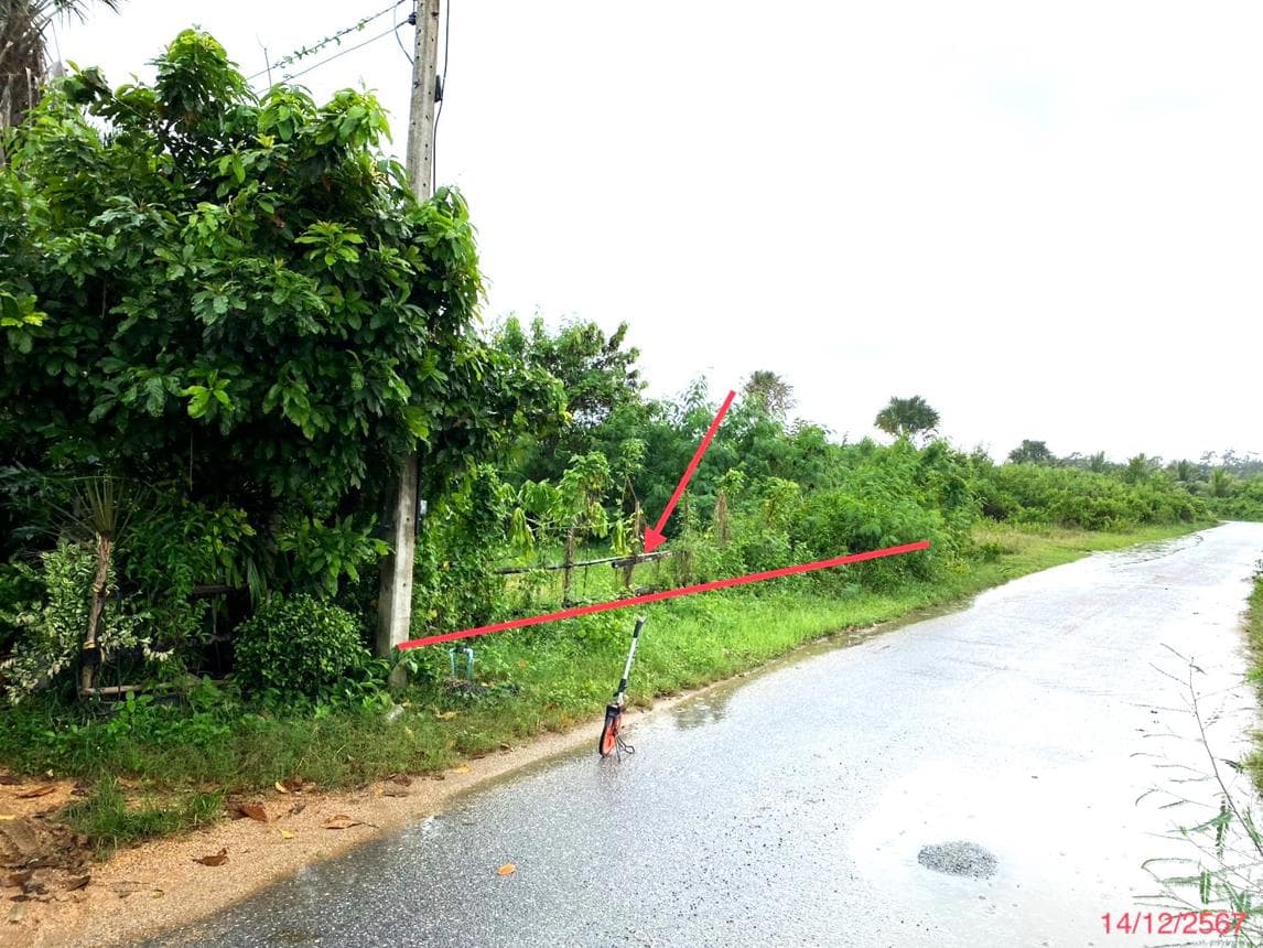 ขายที่ดินเปล่า สทิงพระ สงขลา ทำเลชุมพล เนื้อที่ 68.5 ตร.ว. เหมาะสำหรับสร้างที่อยู่อาศัยและลงทุน