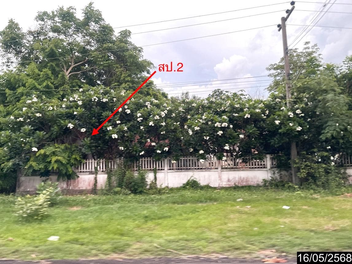 ขายบ้านเดี่ยว เมืองชัยภูมิ ชัยภูมิ ทำเลนาฝาย เนื้อที่ 21 ตร.ว. พื้นที่ใช้สอย 69.5 ตร.ม. 2 ห้องนอน 1 ห้องน้ำ สภาพดี พร้อมอยู่