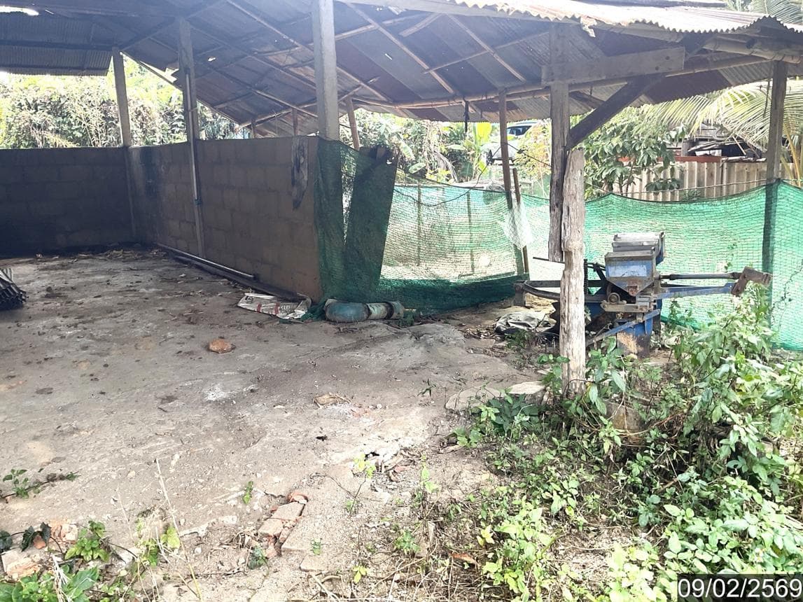 บ้านเดี่ยว 2 ห้องนอน พื้นที่ 98.5 ตร.ม. ทำเลศักยภาพ เกาะช้าง แม่สาย เชียงราย