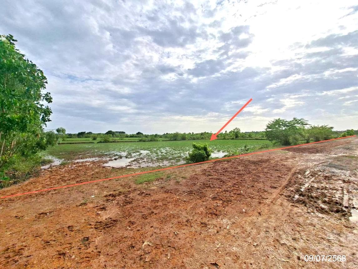ที่ดินเปล่าทำเลศักยภาพ บ้านข่า ศรีสงคราม นครพนม เหมาะสำหรับการลงทุนและพัฒนา