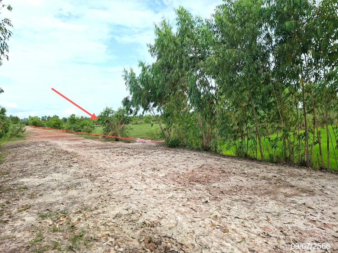 ที่ดินเปล่าทำเลศักยภาพ บ้านข่า ศรีสงคราม นครพนม เหมาะสำหรับการลงทุนและพัฒนา