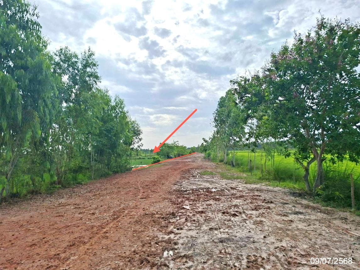 ที่ดินเปล่าทำเลศักยภาพ บ้านข่า ศรีสงคราม นครพนม เหมาะสำหรับการลงทุนและพัฒนา