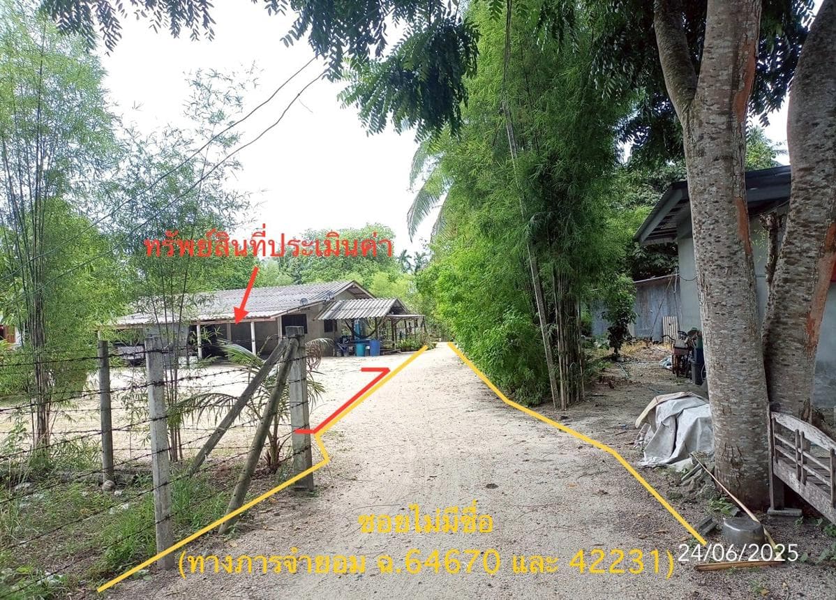 ขายบ้านเดี่ยว ท่าศาลา นครศรีธรรมราช ทำเลท่าศาลา เนื้อที่ 12.6 ตร.ว. พื้นที่ใช้สอย 125 ตร.ม. 1 ห้องนอน 1 ห้องน้ำ สภาพดี พร้อมอยู่