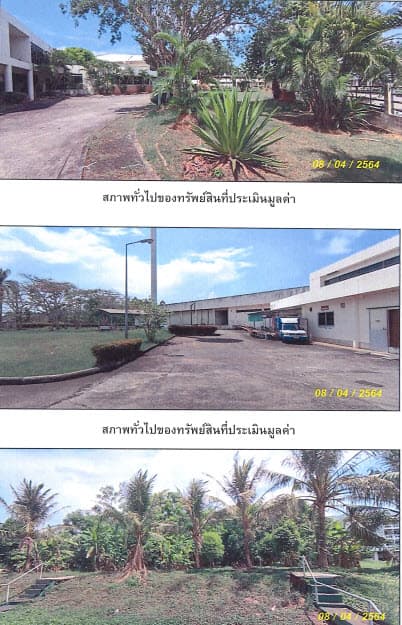 โรงงาน เมืองตรัง ตรัง