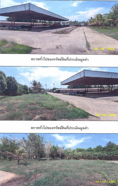 โรงงาน เมืองตรัง ตรัง