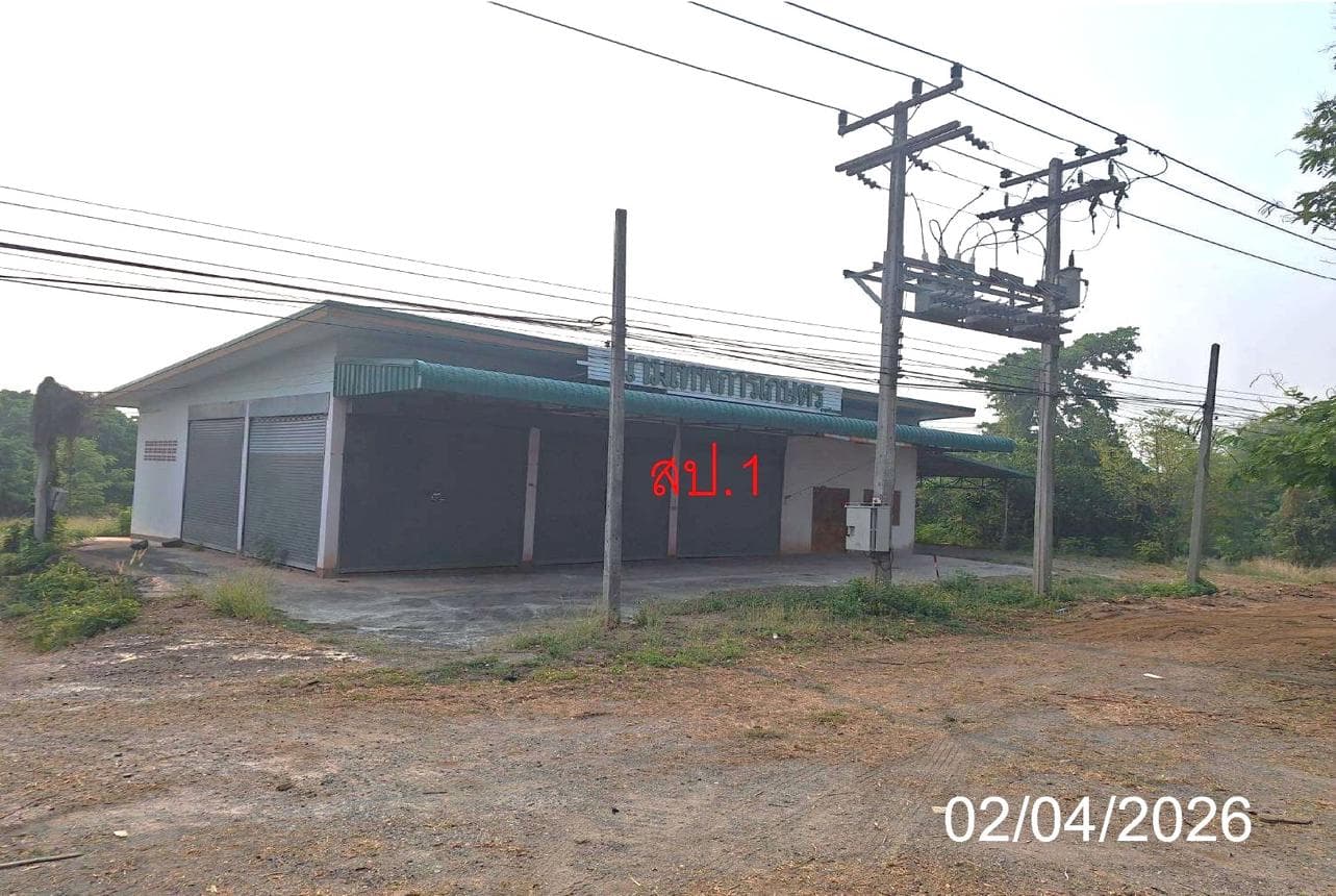 บ้านเดี่ยว 2 ห้องนอน พื้นที่ 376 ตร.ม. ทำเลศักยภาพ ป่าพลู บ้านโฮ่ง ลำพูน
