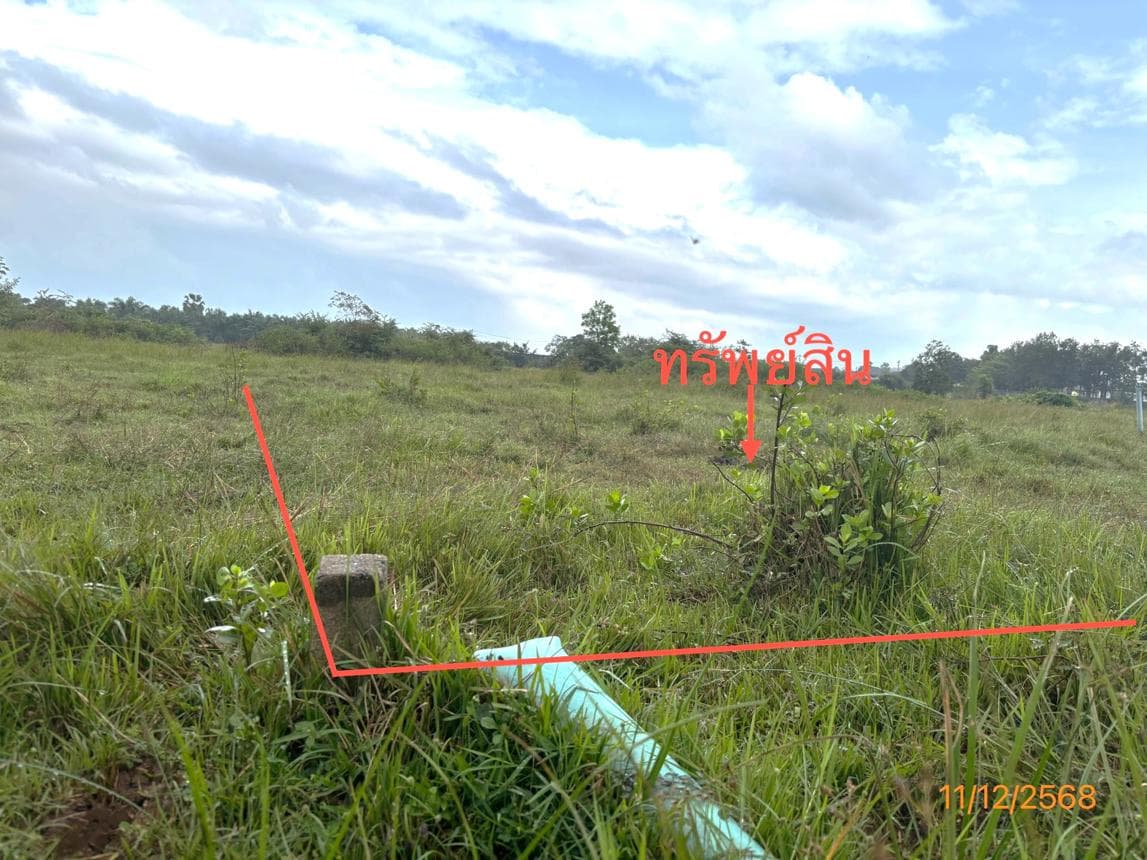 ขายที่ดินเปล่า 50.6 ตร.ว. ทุ่งกง กาญจนดิษฐ์ สุราษฎร์ธานี ทำเลดีเหมาะสร้างบ้านพักอาศัย