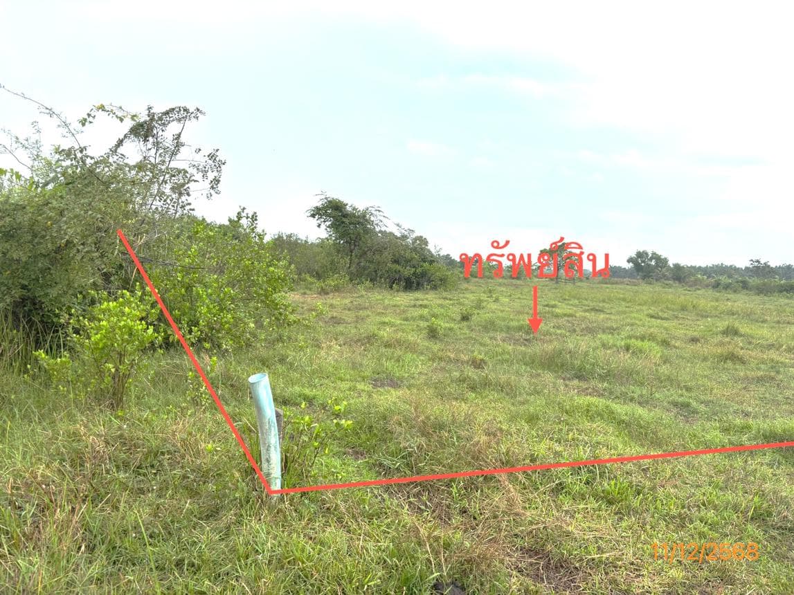 ขายที่ดินเปล่า 50.6 ตร.ว. ทุ่งกง กาญจนดิษฐ์ สุราษฎร์ธานี ทำเลดีเหมาะสร้างบ้านพักอาศัย