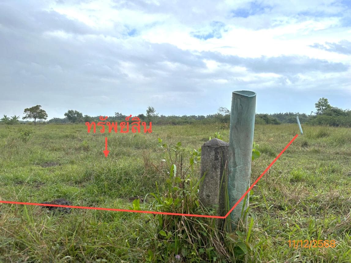 ขายที่ดินเปล่า 50.6 ตร.ว. ทุ่งกง กาญจนดิษฐ์ สุราษฎร์ธานี ทำเลดีเหมาะสร้างบ้านพักอาศัย