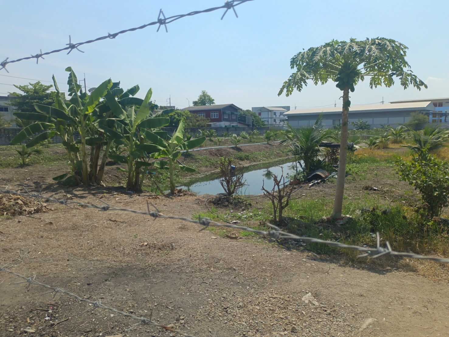 ขาย ที่ดิน ตำบล ท่าตำหนัก อำเภอนครชัยศรี นครปฐม 5 ไร่ 1 งาน 56 ตรว เหมาะสร้างโรงแรม ร้านอาหาร ปั้มน้ำมัน สปอร์ตคอมเพล็กซ์