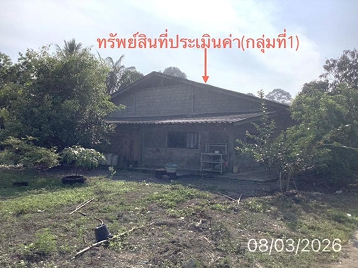 บ้านเดี่ยว หินตก ร่อนพิบูลย์ นครศรีธรรมราช 8 ห้องนอน 2 ห้องน้ำ พื้นที่ใช้สอยกว้างขวางพิเศษ 400 ตร.ม. บนที่ดิน 24 ตร.ว. ทำเลดีเหมาะสำหรับครอบครัวใหญ่ ราคาพิเศษ 3.29 ล้าน