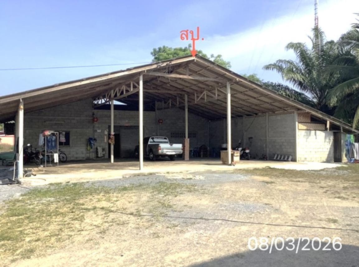 บ้านเดี่ยว หินตก ร่อนพิบูลย์ นครศรีธรรมราช 8 ห้องนอน 2 ห้องน้ำ พื้นที่ใช้สอยกว้างขวางพิเศษ 400 ตร.ม. บนที่ดิน 24 ตร.ว. ทำเลดีเหมาะสำหรับครอบครัวใหญ่ ราคาพิเศษ 3.29 ล้าน