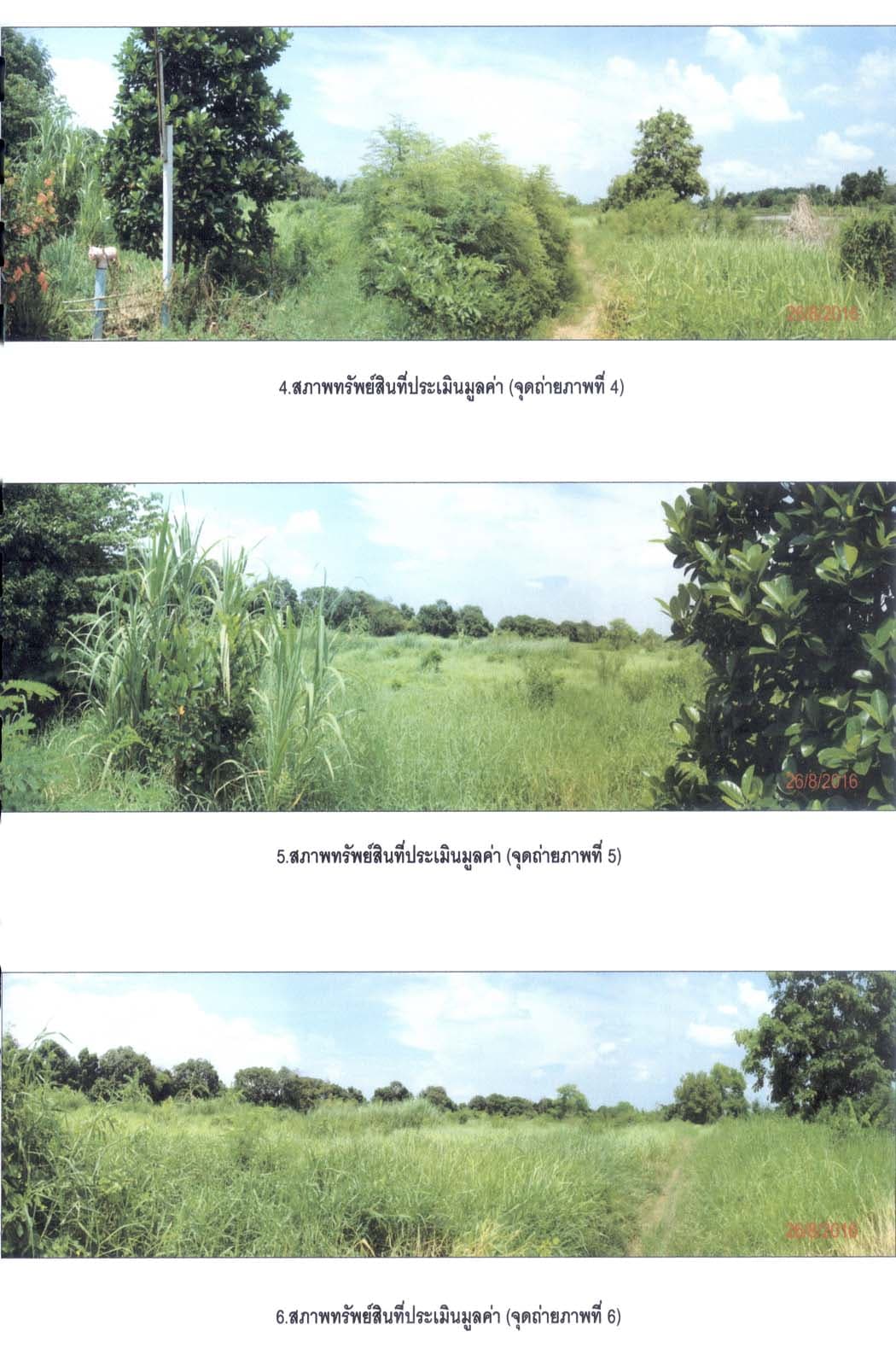 ที่ดินเปล่า หนองเสือ ปทุมธานี