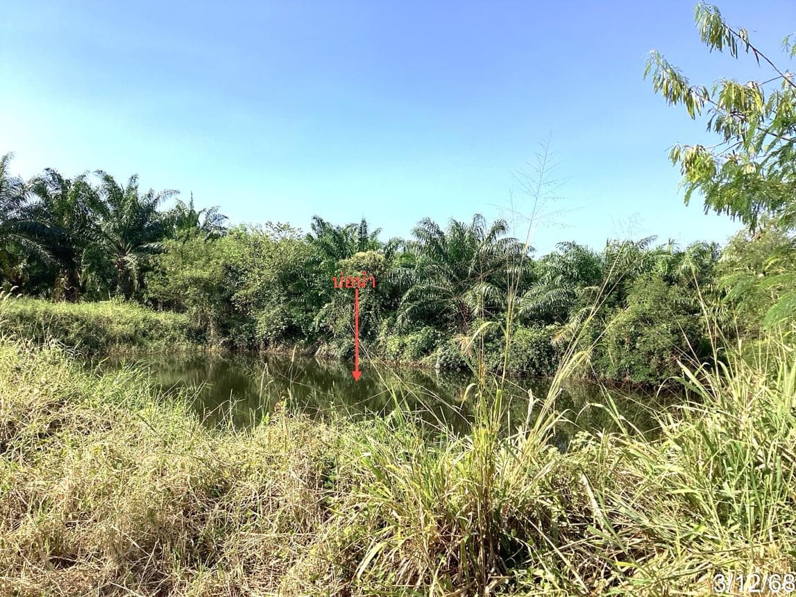 ขายที่ดินเปล่า 40.9 ตร.ว. ทำเลศักยภาพ ต.อ่าวน้อย อ.เมืองประจวบคีรีขันธ์ ใกล้แหล่งชุมชนและชายทะเล ราคาล้านต้นๆ เหมาะสำหรับสร้างบ้านพักตากอากาศ