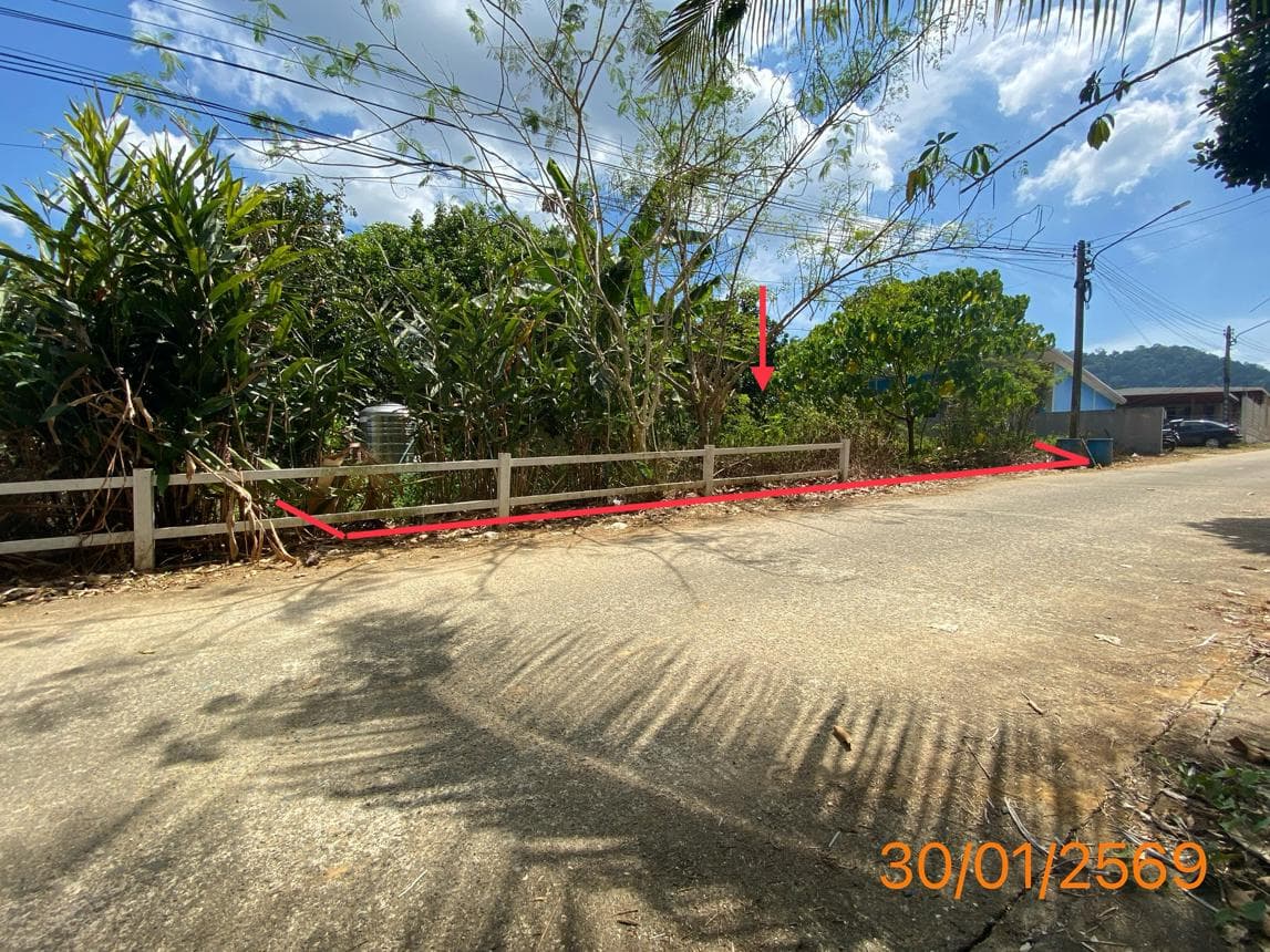 ขายที่ดิน บางนายสี ตะกั่วป่า พังงา เนื้อที่ 81.6 ตร.ว. ทำเลดี เหมาะสำหรับสร้างบ้านหรือลงทุน