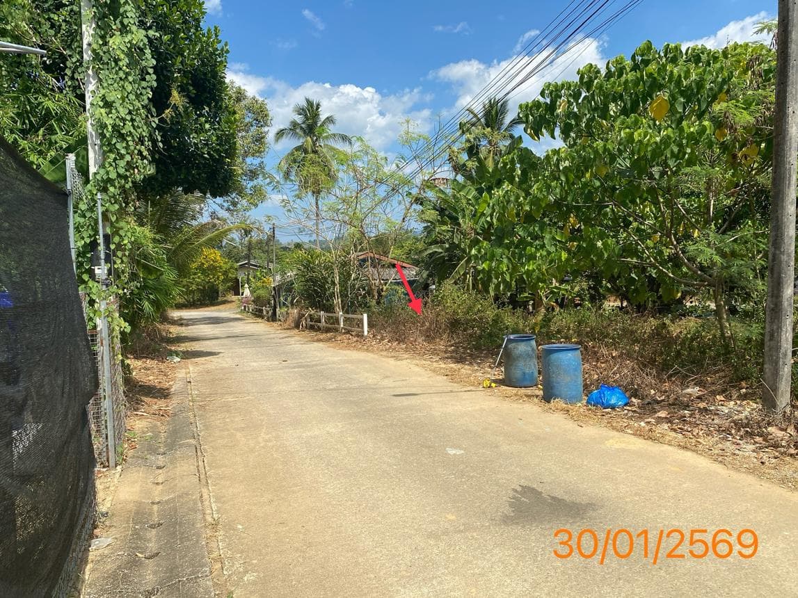 ขายที่ดิน บางนายสี ตะกั่วป่า พังงา เนื้อที่ 81.6 ตร.ว. ทำเลดี เหมาะสำหรับสร้างบ้านหรือลงทุน