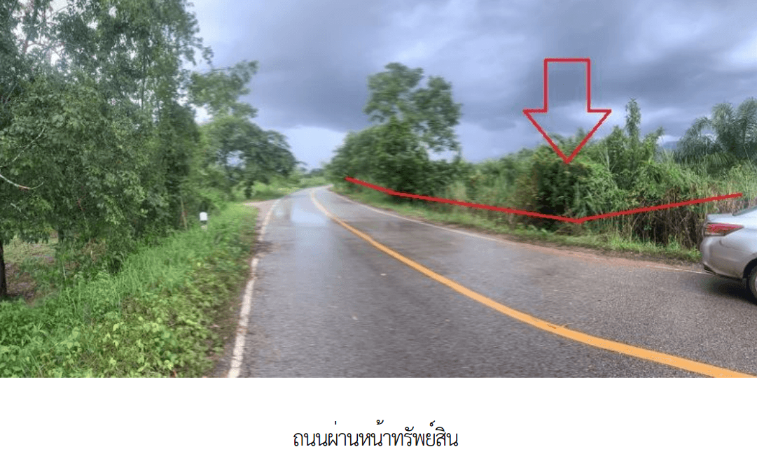 ที่ดินว่างเปล่า เมืองบึงกาฬ บึงกาฬ