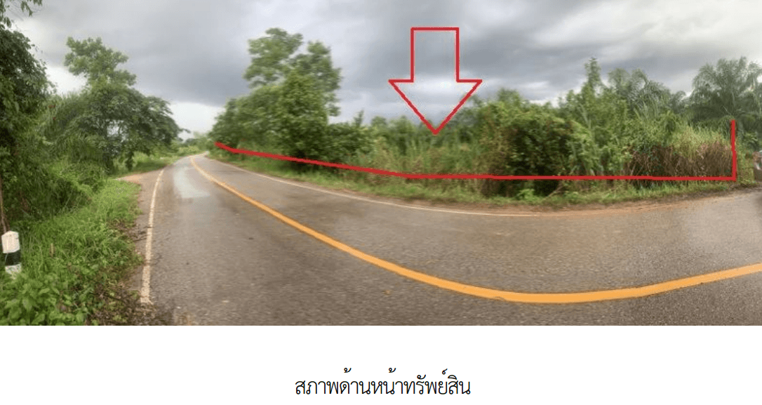 ที่ดินว่างเปล่า เมืองบึงกาฬ บึงกาฬ