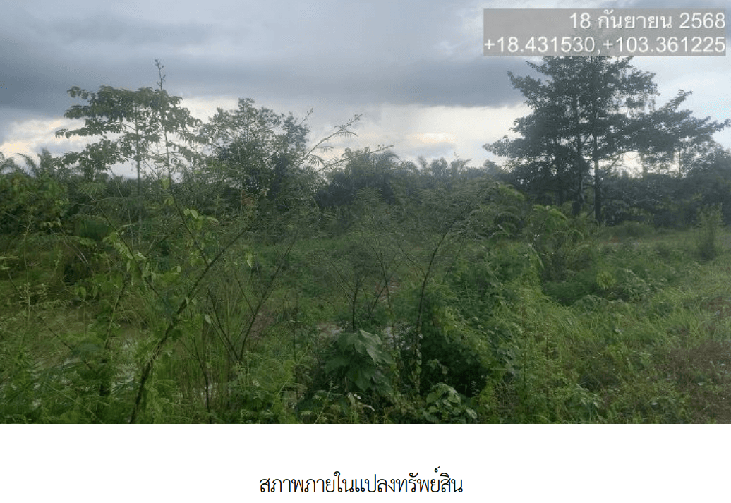 ที่ดินว่างเปล่า เมืองบึงกาฬ บึงกาฬ