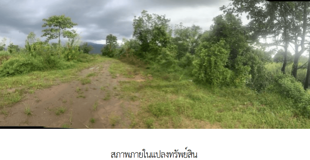 ที่ดินว่างเปล่า เมืองบึงกาฬ บึงกาฬ