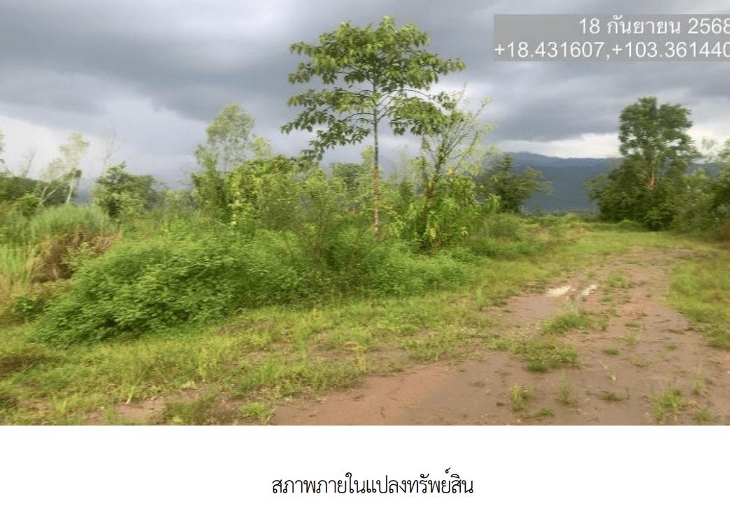 ที่ดินว่างเปล่า เมืองบึงกาฬ บึงกาฬ