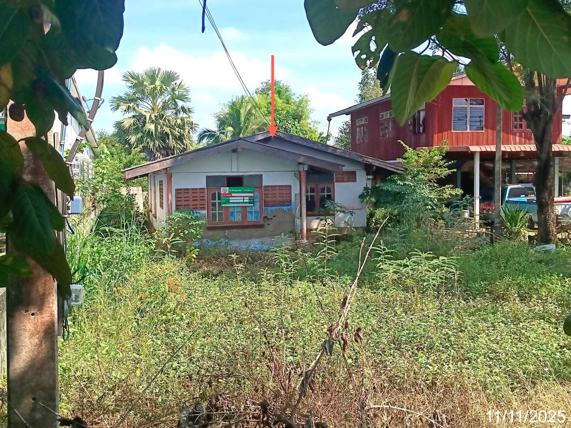 บ้านเดี่ยวบึงสามพัน เพชรบูรณ์ ทำเลดี พื้นที่กว้างขวาง ใกล้ชิดธรรมชาติ
