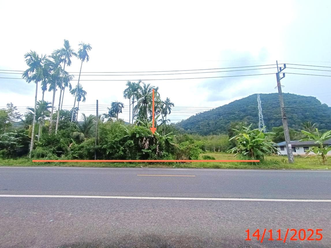 ที่ดินว่างเปล่า ควนสตอ ควนโดน สตูล ขนาด 47 ตร.ว. ทำเลดี ราคาจับต้องได้