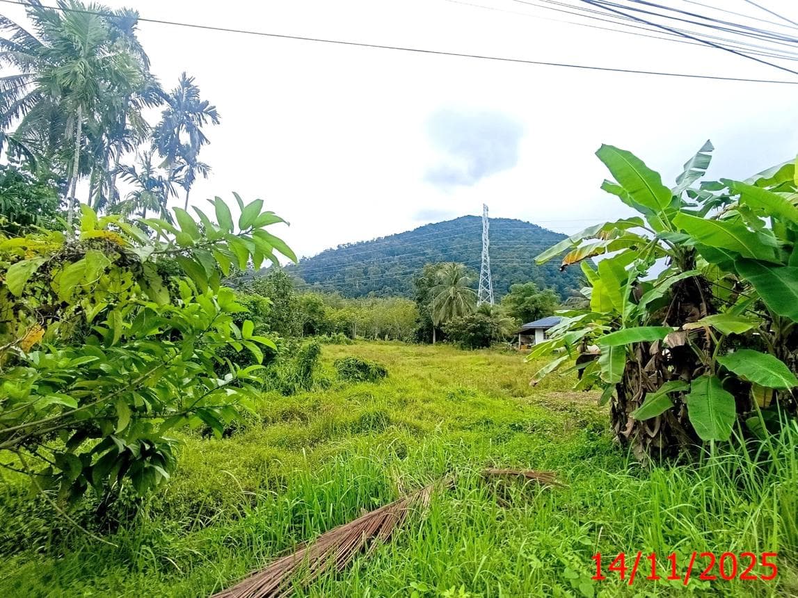 ที่ดินว่างเปล่า ควนสตอ ควนโดน สตูล ขนาด 47 ตร.ว. ทำเลดี ราคาจับต้องได้