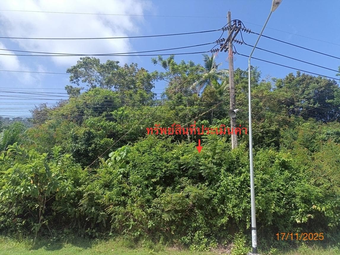 ที่ดินเปล่า พื้นที่ 13 ตร.ว. ทำเลศักยภาพ ศาลาด่าน เกาะลันตา กระบี่