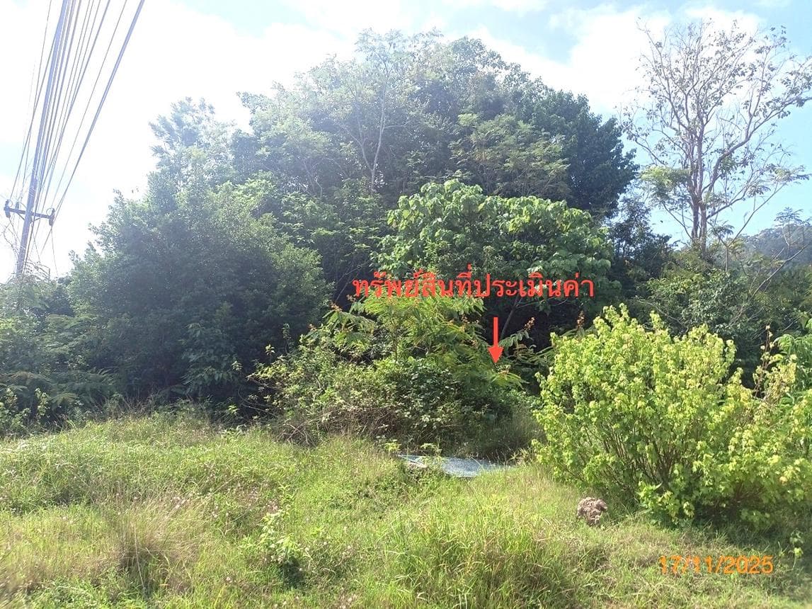 ที่ดินเปล่า พื้นที่ 13 ตร.ว. ทำเลศักยภาพ ศาลาด่าน เกาะลันตา กระบี่